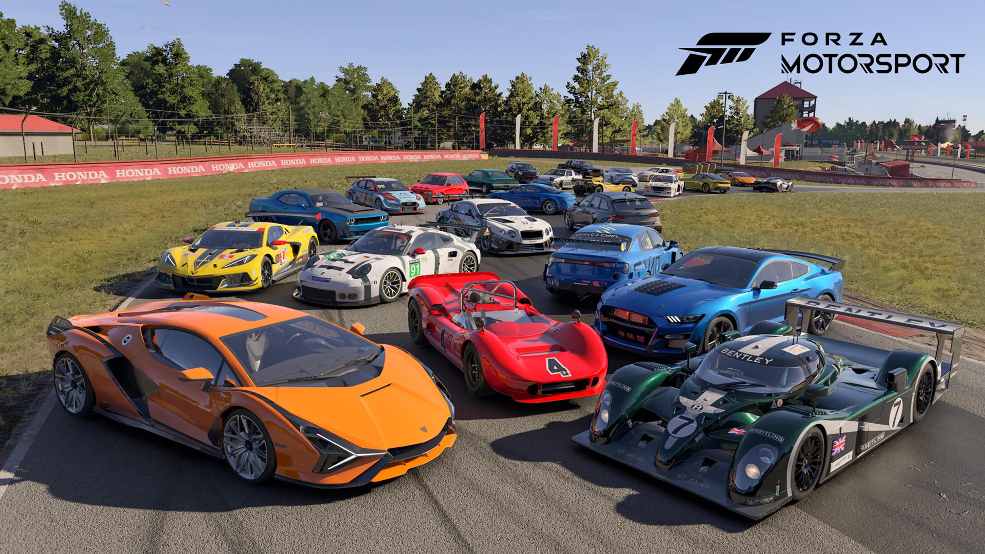 Forza Motorsport Compatibility