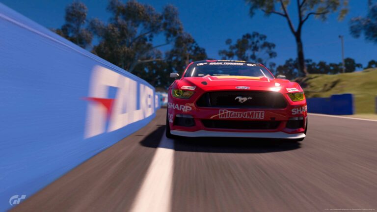 Bathurst Mustang Race