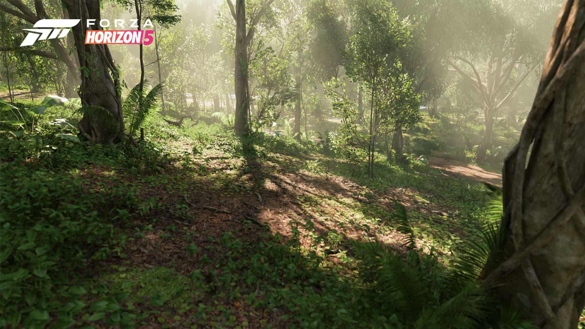 Seasonal conditions and unique areas explained in Forza Horizon 5
