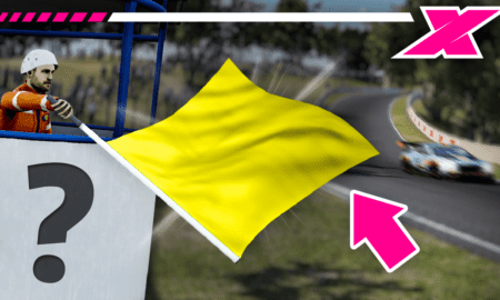 What do the flags represent in sim racing?