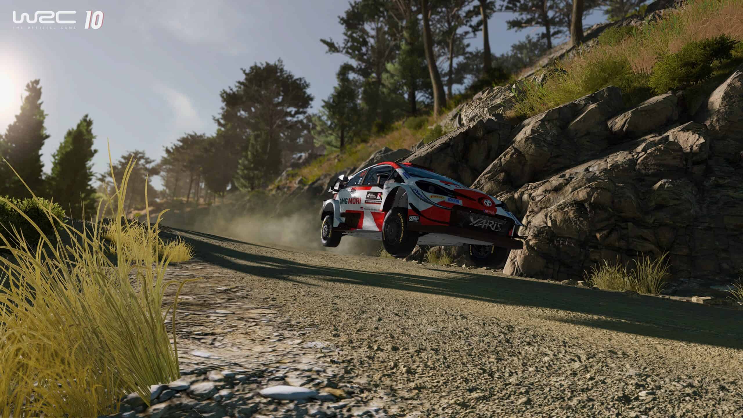 Online Teams mode added to WRC 10 in latest update