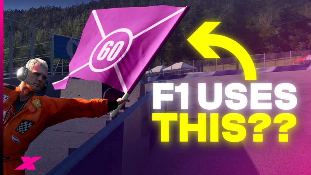 WATCH Every F1 flag explained