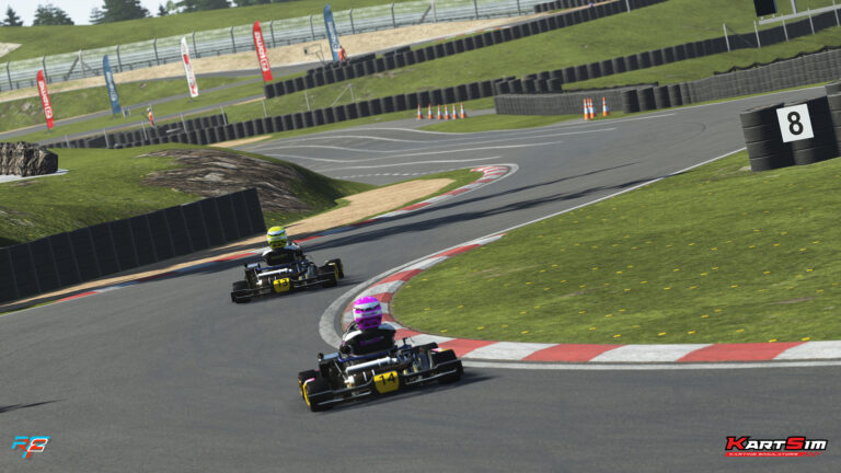 KartSim 2025 Esports Full Pack, rFactor 2