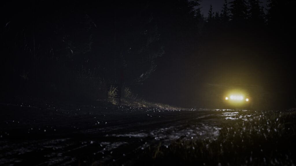 Assetto Corsa Rally, Supernova Games Studios, Kunos Simulazioni, Peugeot 208 Rally4, Rain, Night, Wales