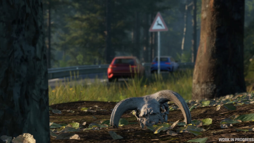 Assetto Corsa EVO free roam detail