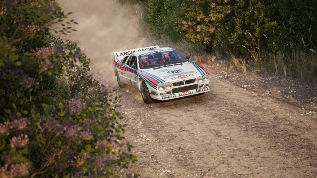 Assetto Corsa Rally 05