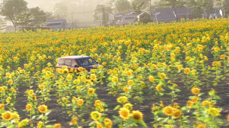 Where to find the Hokuryu Sunflower Farm in Forza Horizon 6