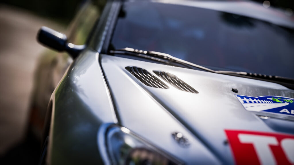 Peugeot 206 WRC, Alsace, Assetto Corsa Rally, V0.6