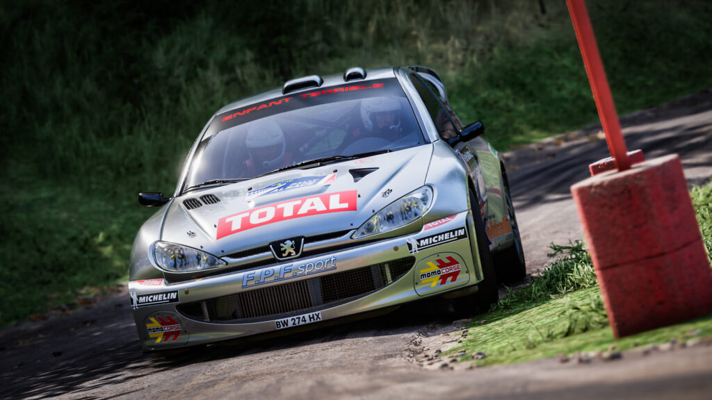 Peugeot 206 WRC, Alsace, Assetto Corsa Rally, V0.6