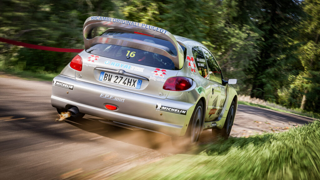 Peugeot 206 WRC, Alsace, Assetto Corsa Rally, V0.6