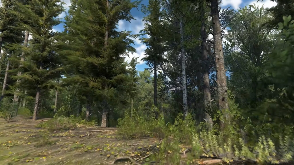 Assetto Corsa EVO Walk Mode